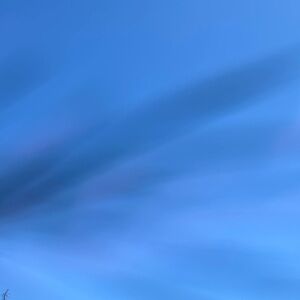 Meet your Posher, John D